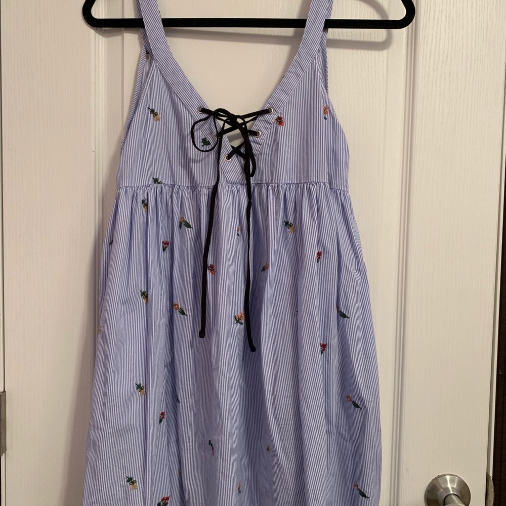 Zara Blue Stripe/floral embroidered Dress